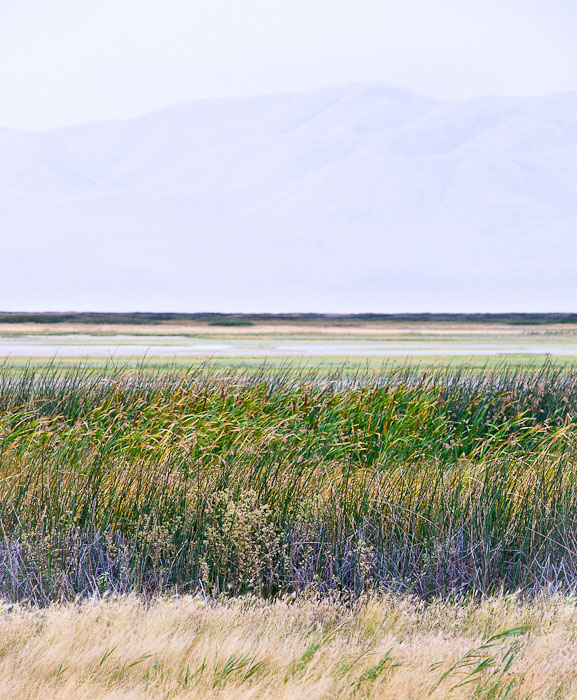 Wetlands and mountains, Bear River Migratory Bird Refuge, Brigham City, Utah.  Canon 5D Mark II and 70-200mm f/4 L IS lens; exposed 1/40 sec. @ f/8, ISO 1250.