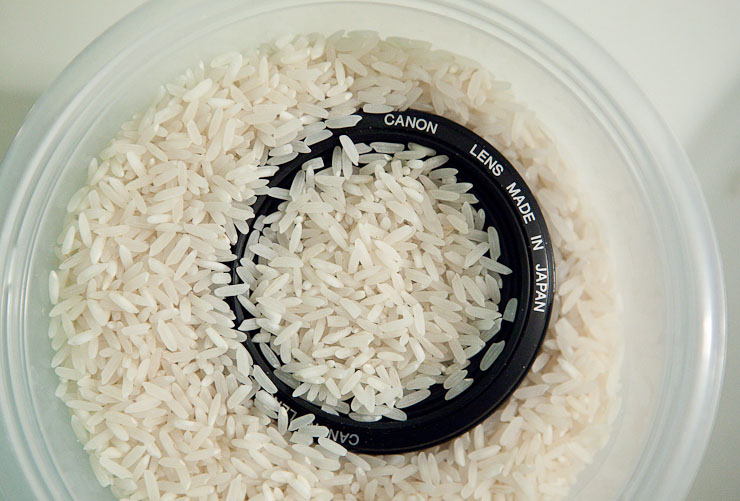 A Canon 50mm f/1.4 coated in Riceland Rice.